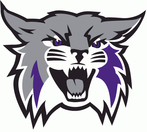 Weber State Wildcats 2012-Pres Primary Logo iron on transfers for clothing